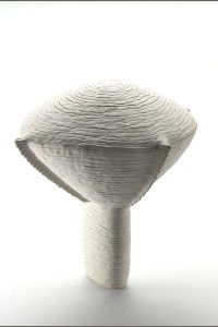 https://www.alainpierot.com:443/files/gimgs/th-9_image-4.jpg